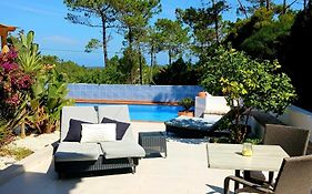 Andorina Apartment 1Km From Arrifana Beach